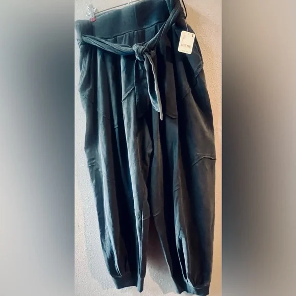 FREE PEOPLE EXPOSED SEAM ATTACHED SASH BAGGY JOGGERS SIZE L~NWT - Picture 5 of 7